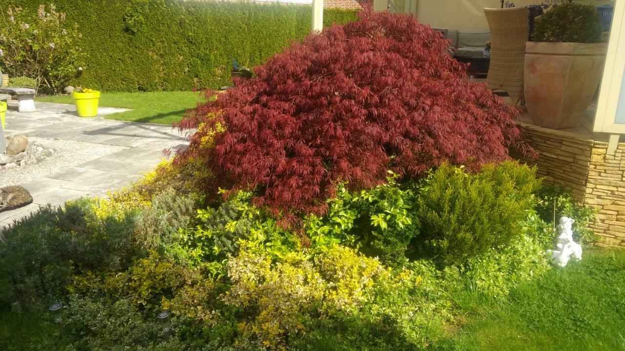 Fewo An Der Muehlenbachaue Nettetal Exteriör bild